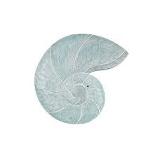 T.I. Design Nautilus Shell Seafoam Wall Art