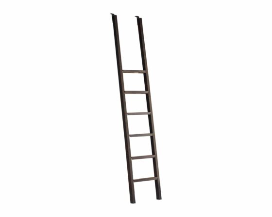 Martin Furniture Toulouse Aged Ebony Two Bookcases with Ladder Set