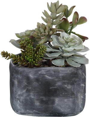 Uttermost Alverio Desert Garden Succulents