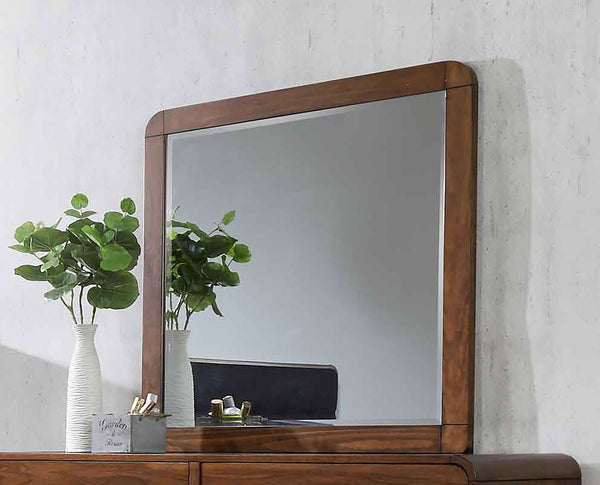 Coaster Robyn Dresser Mirror Dark Walnut