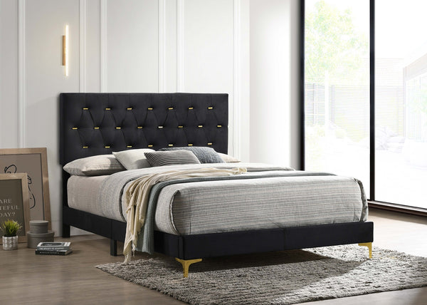 Coaster Kendall Upholstered Queen Panel Bed Black