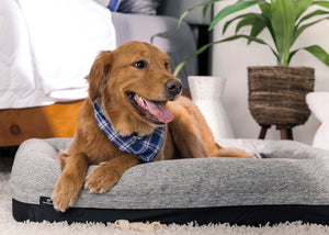 Bedgear X Large Performance Dog Bed