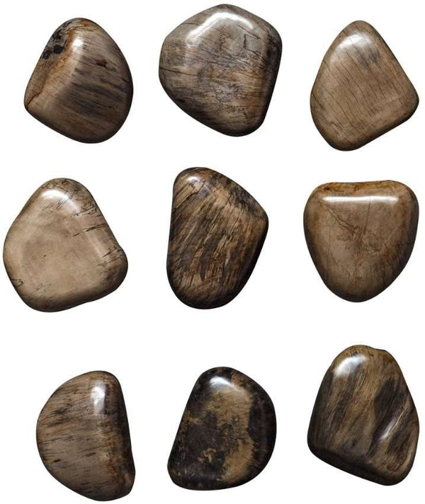 Uttermost Pebbles 9-Piece Walnut Brown Wall Decor Set