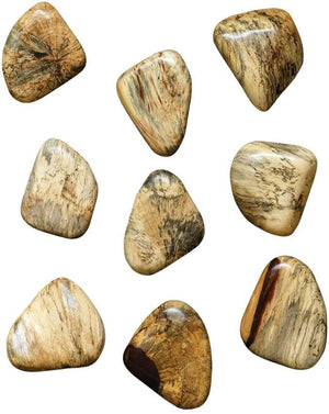 Uttermost Pebbles 9-Piece Natural Blonde Wall Decor Set