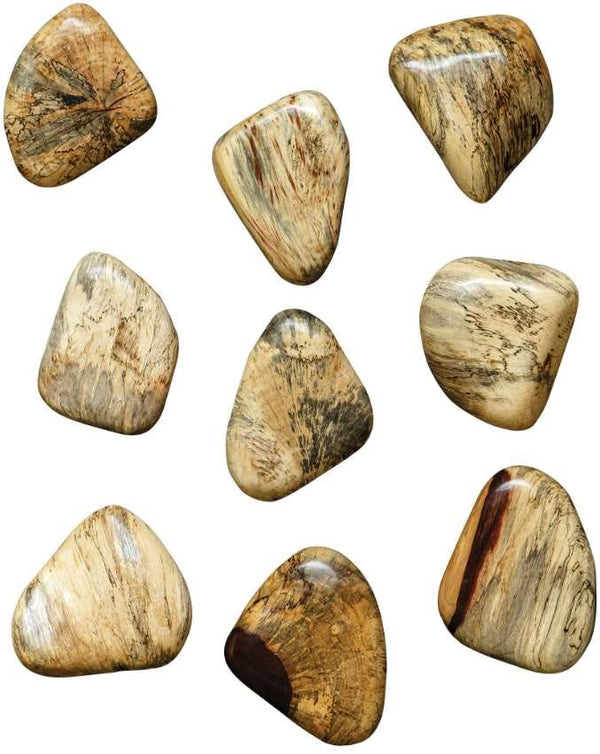 Uttermost Pebbles 9-Piece Natural Blonde Wall Decor Set