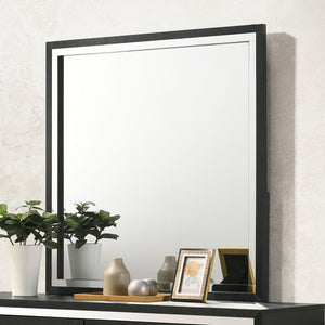Coaster Lucia Dresser Mirror Black