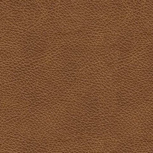 Emilia 4-Piece Leather Stationary Sectional Caramel