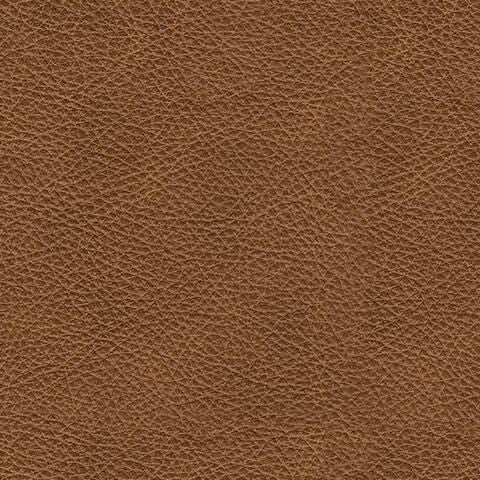 Emilia 4-Piece Leather Stationary Sectional Caramel