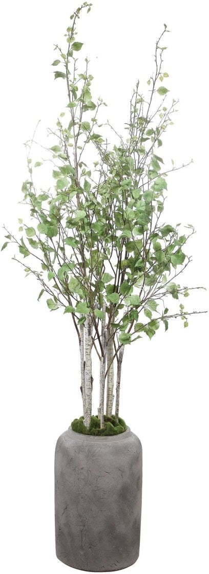 Uttermost Aldis Potted River Birch