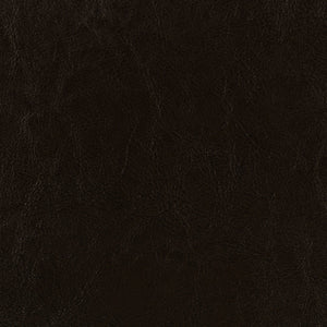 Coaster Dorian Upholstered Twin Panel Bed Brown