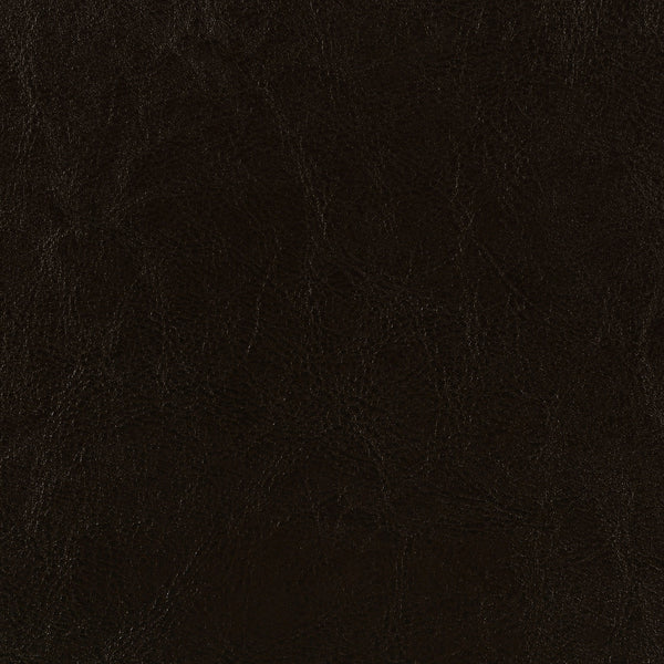 Coaster Dorian Upholstered Twin Panel Bed Brown