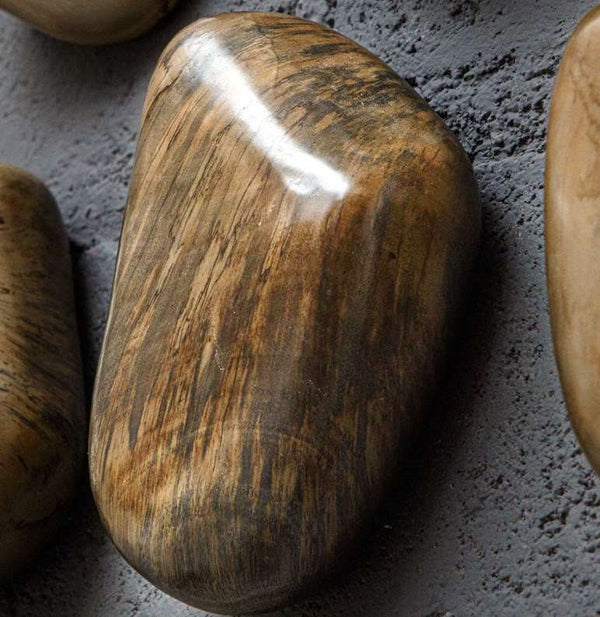 Uttermost Pebbles 9-Piece Walnut Brown Wall Decor Set