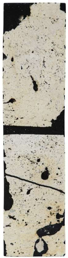Uttermost Nouveau Black/White Coral Stone Sculpture
