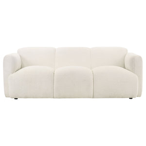 Coaster Dorset 2-Piece Upholstered Round Track Arm Sofa Set White
