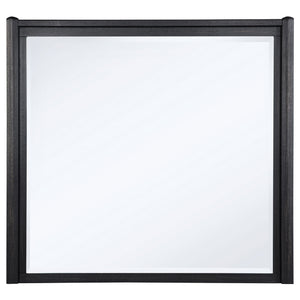 Coaster Leandro Dresser Mirror Burnished Black