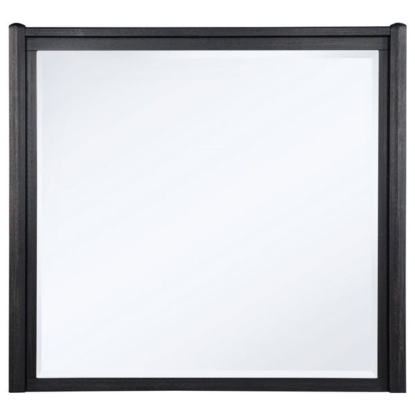 Coaster Leandro Dresser Mirror Burnished Black