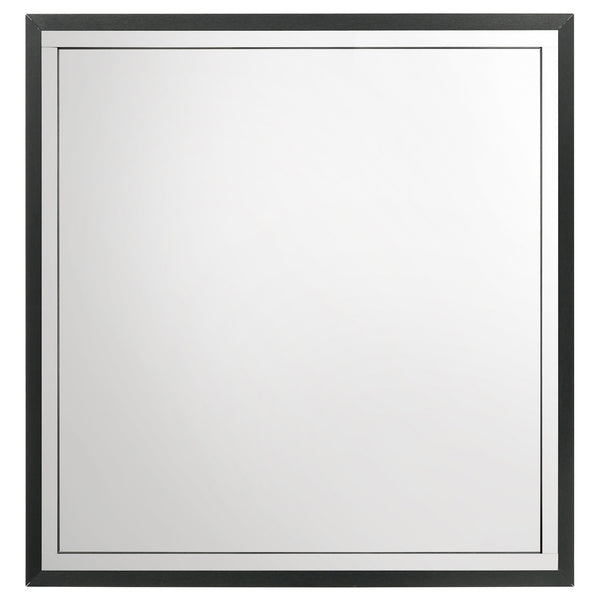 Coaster Lucia Dresser Mirror Black