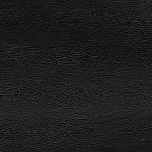 Emilia Stationary 5-Piece Leather Sectional Black