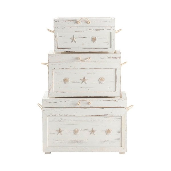 Crestview Seaside White Shell Set of 3 Trunks