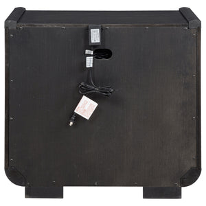 Coaster Leandro 2-Drawer LED Nightstand With Usb Burnished Black