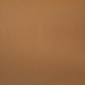 Coaster Buxton Top Grain Leather Upholstered Loveseat Orange