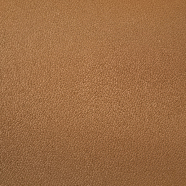 Coaster Buxton Top Grain Leather Upholstered Loveseat Orange