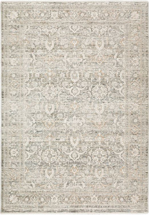 regal collection putty 5x8 rug