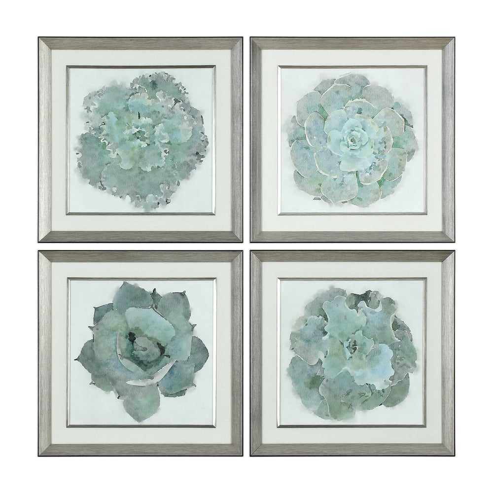 Uttermost Natural Beauties Wall Art Set of 4
