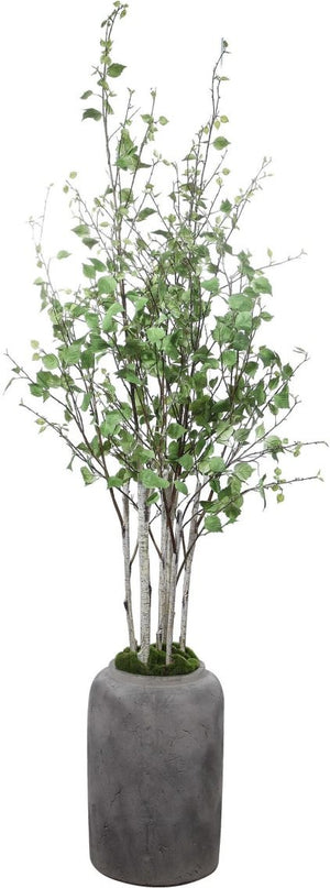 Uttermost Aldis Potted River Birch
