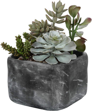Uttermost Alverio Desert Garden Succulents