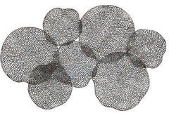 Uttermost Ripley Metal Leaf Wall Art
