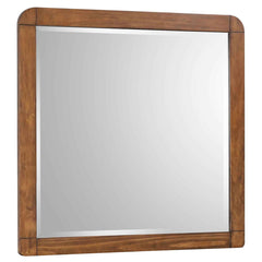 Coaster Robyn Dresser Mirror Dark Walnut