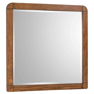 Coaster Robyn Dresser Mirror Dark Walnut