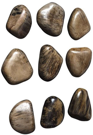 Uttermost Pebbles 9-Piece Walnut Brown Wall Decor Set