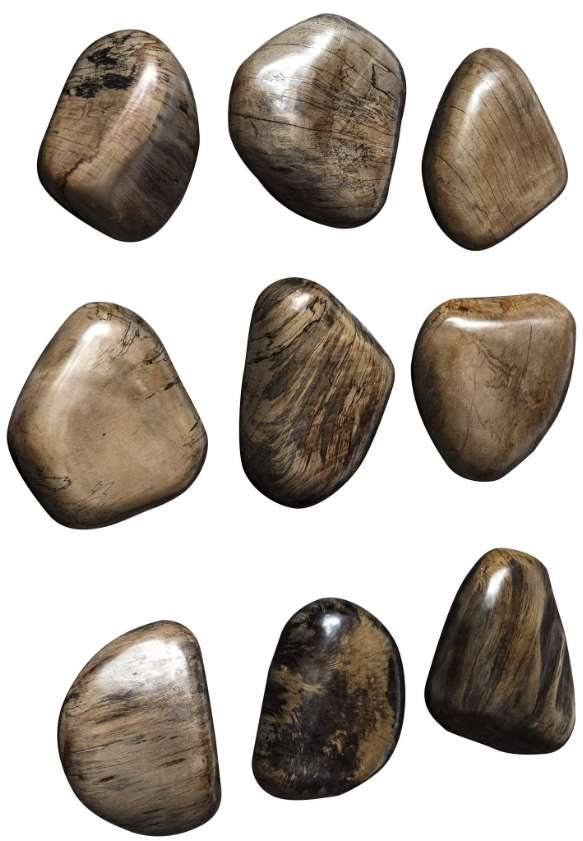 Uttermost Pebbles 9-Piece Walnut Brown Wall Decor Set