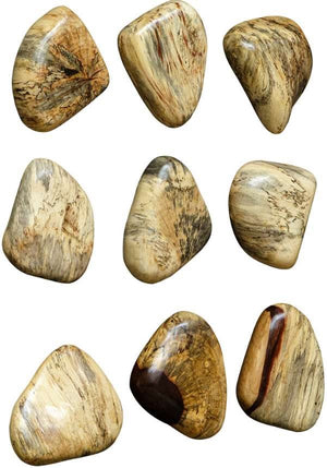 Uttermost Pebbles 9-Piece Natural Blonde Wall Decor Set