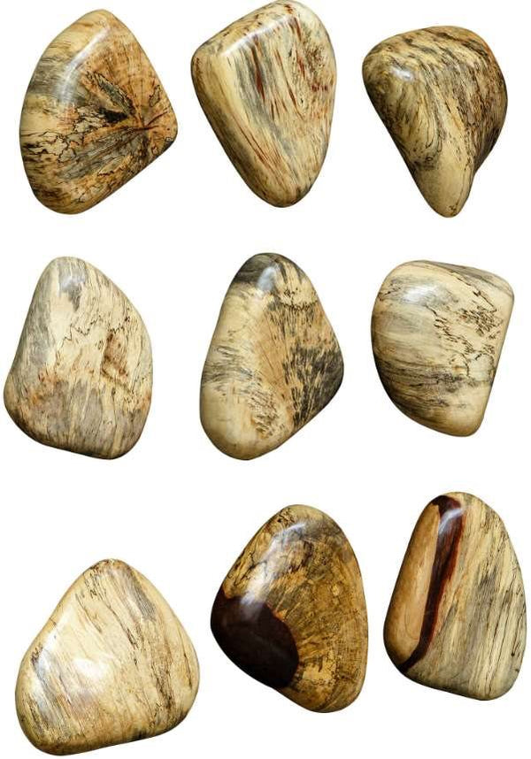 Uttermost Pebbles 9-Piece Natural Blonde Wall Decor Set