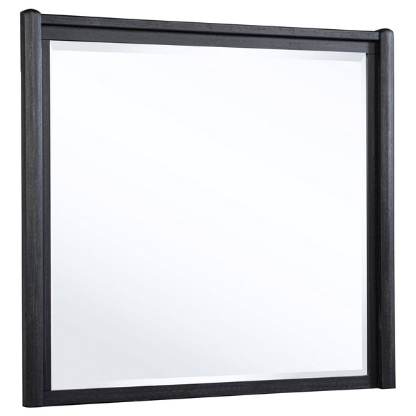 Coaster Leandro Dresser Mirror Burnished Black