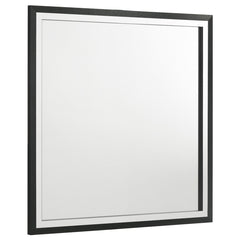 Coaster Lucia Dresser Mirror Black