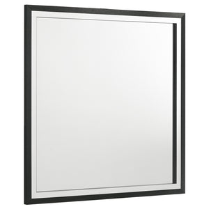 Coaster Lucia Dresser Mirror Black