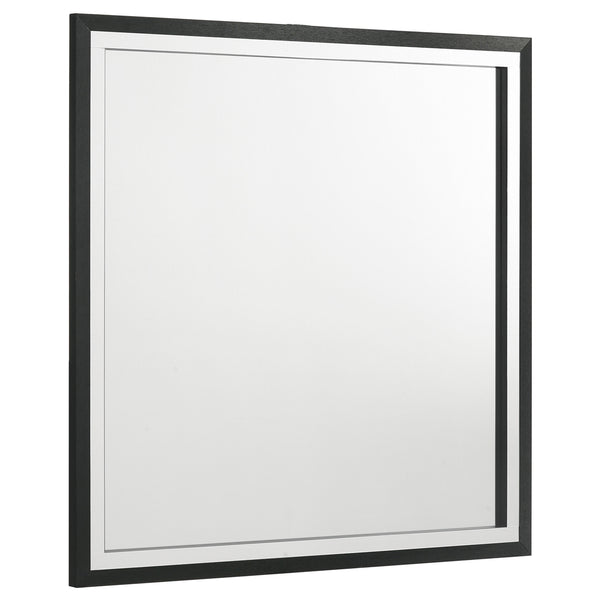 Coaster Lucia Dresser Mirror Black