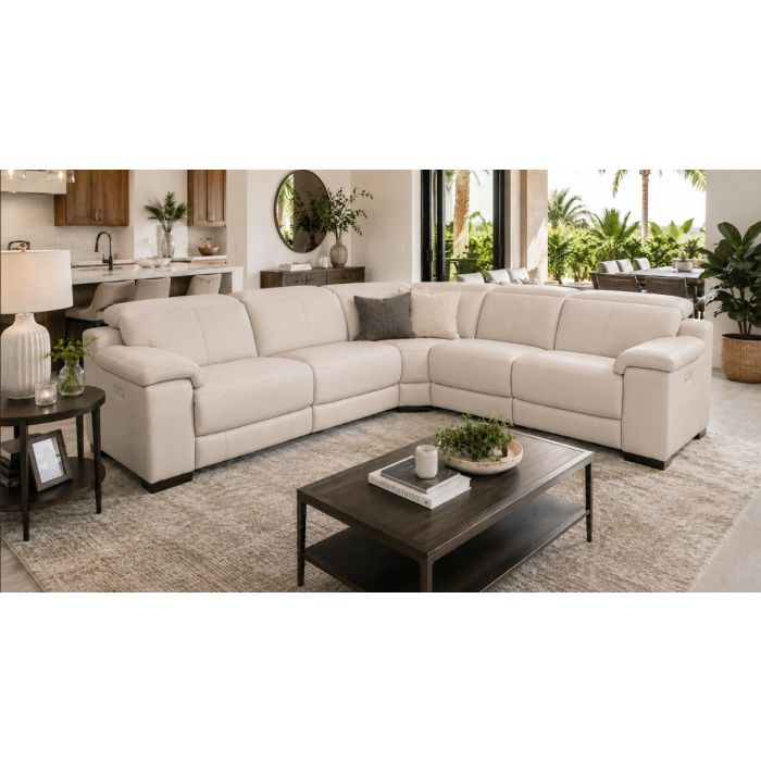HTL Arizona Leather Frost Power Reclining 5-Piece Sectional