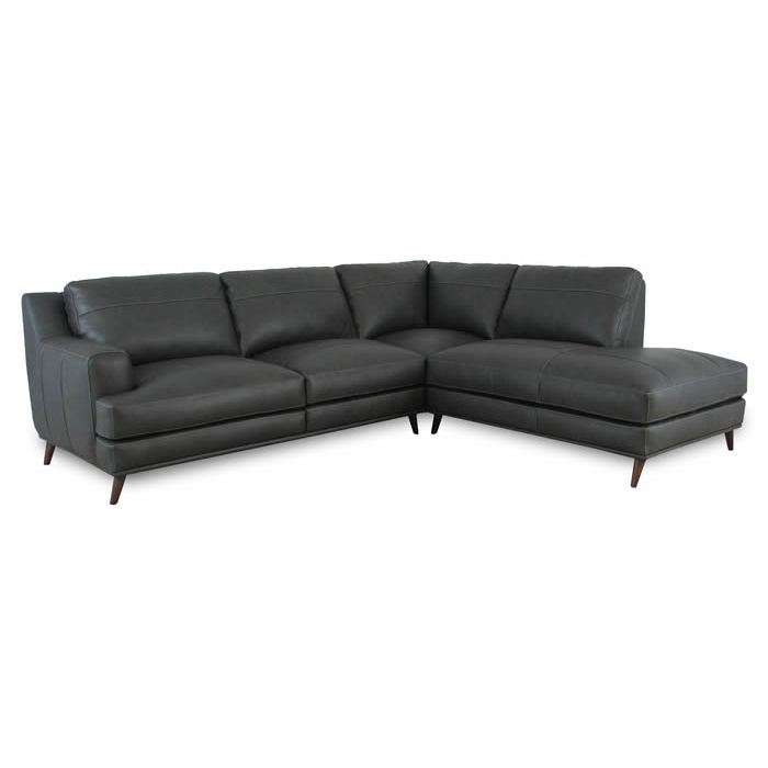 Caruso leather sectional discount