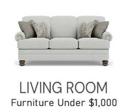 Furniture Under $1,000