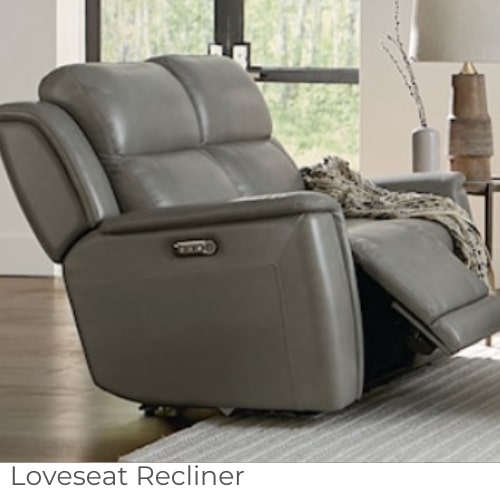 Loveseat Recliners